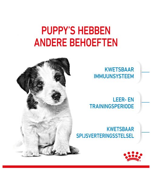 Royal Canin Mini - Puppy-Hondenvoer
