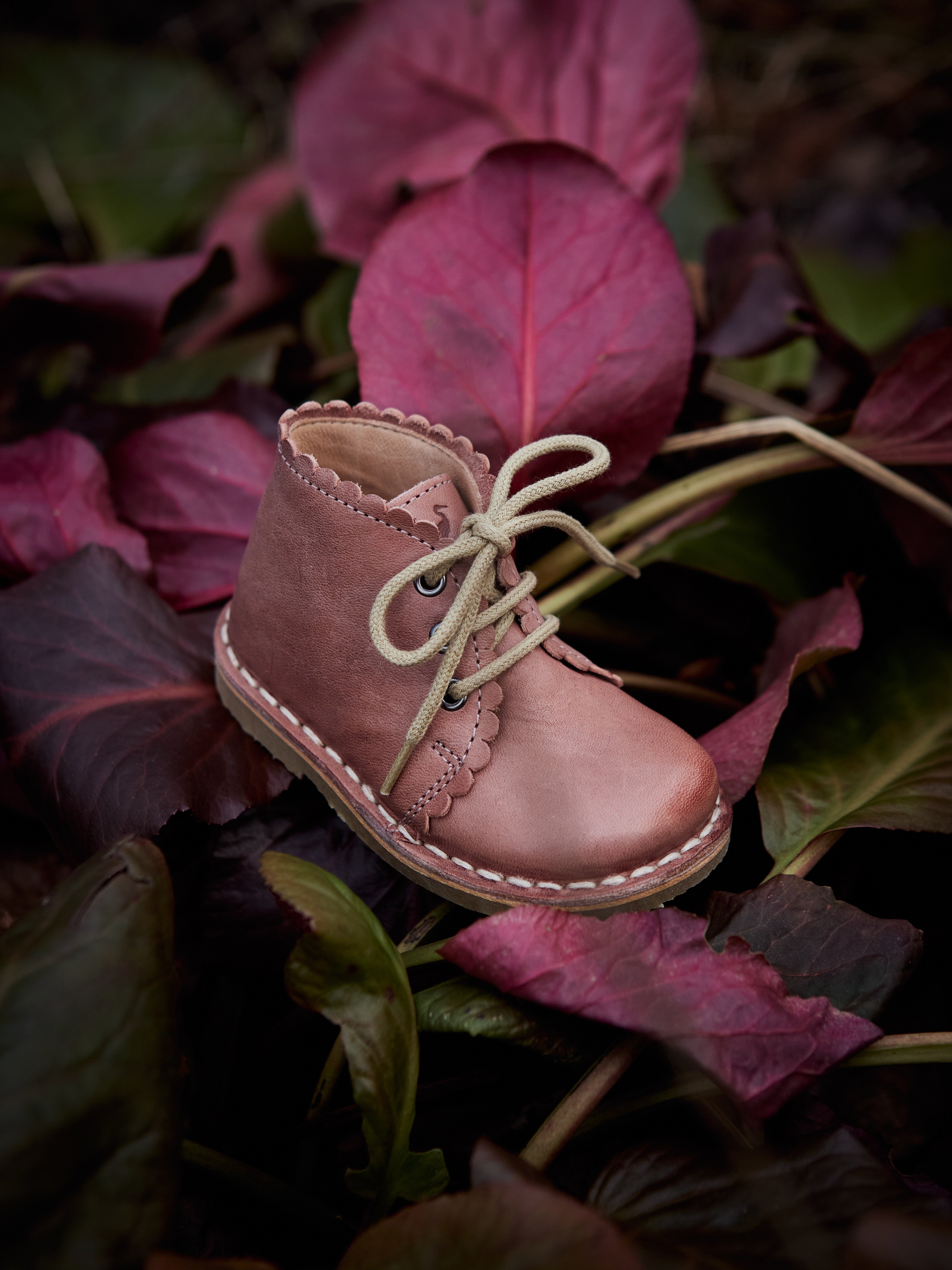 Scallop Boot - Old rose