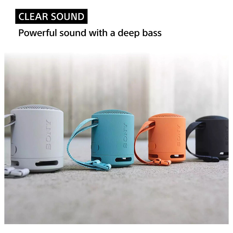 Sony SRS-XB100 Noir - Enceinte portable