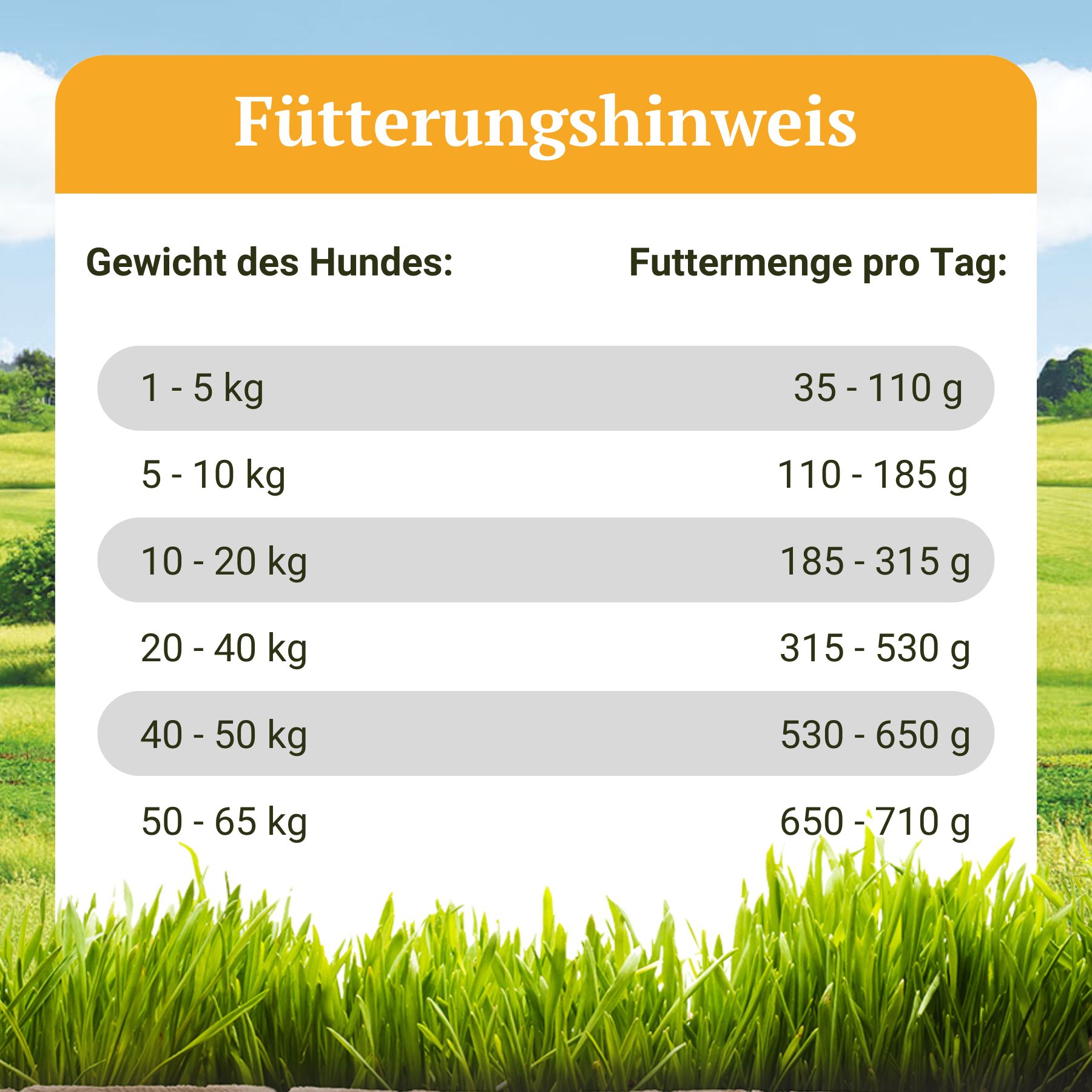 Bellfor Trockenfutter für Hunde mit Huhn Getreidefrei - Freiland-Schmaus