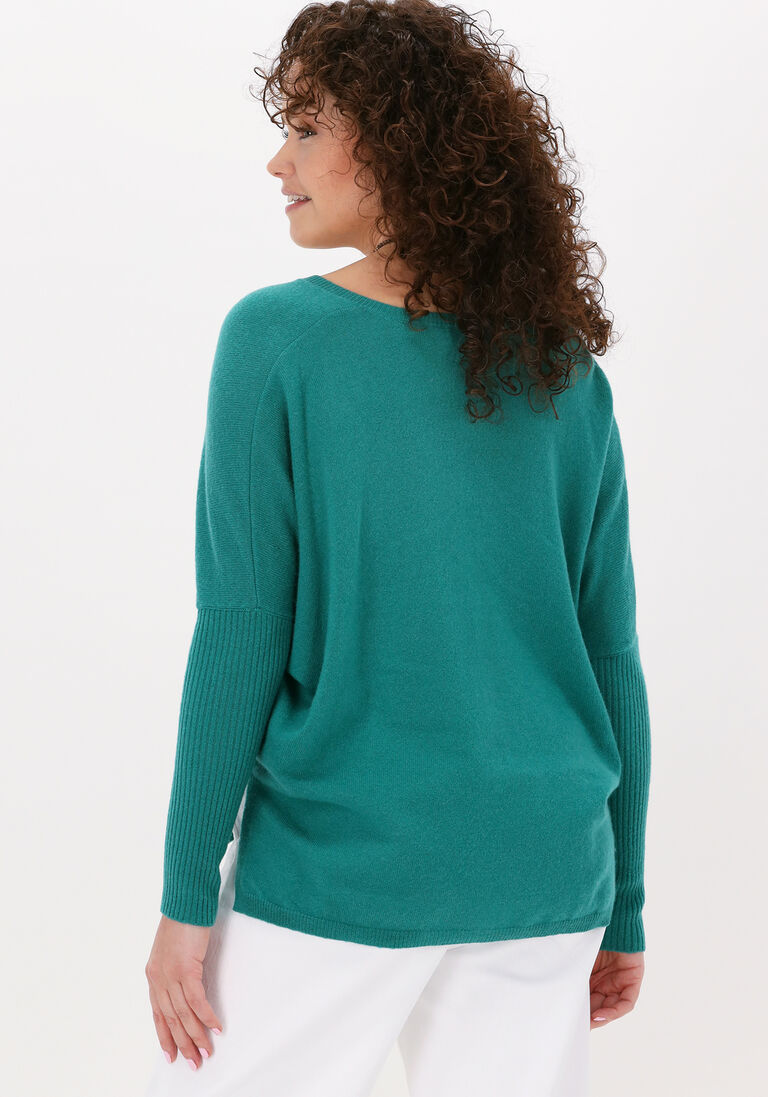 NOT SHY groene not shy trui faustine