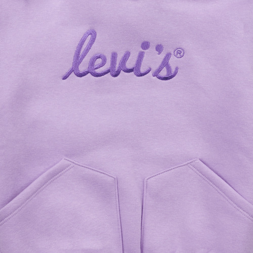 Levi's - LVG POSTER LOGO HOODIE - Violet