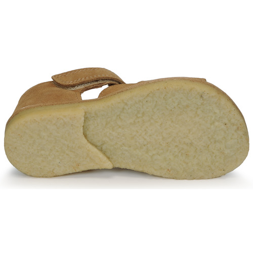 Bisgaard - AMI - Camel