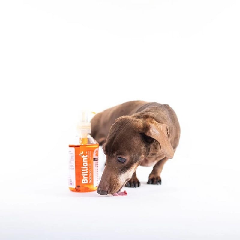 Brilliant Zalmolie Hond Kat (OP=OP) | 1000 ml | 13794.1