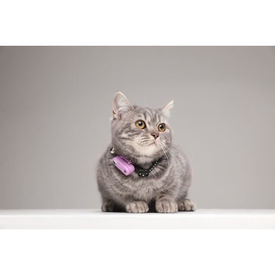 Répulsif rechargeable à ultrasons pour chat Tickless Mini Cat violet