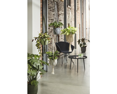 Macramé natuurlijk beige