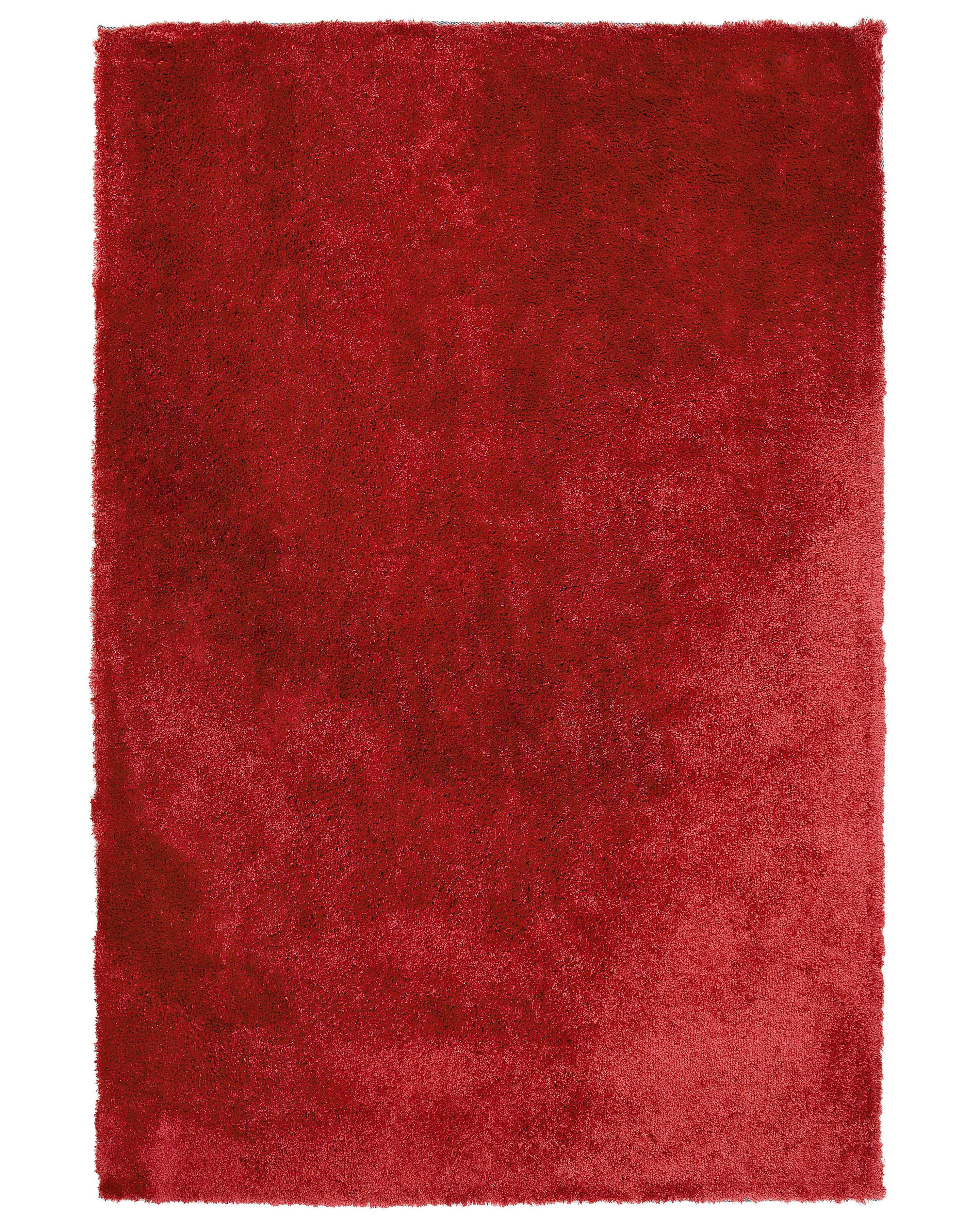 Hoogpoligvloerkleed EVREN Rood 160 x 230 cm