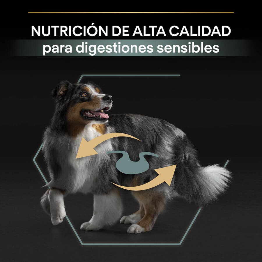 Pro Plan Adult Medium Digestion Lamb Dog Food