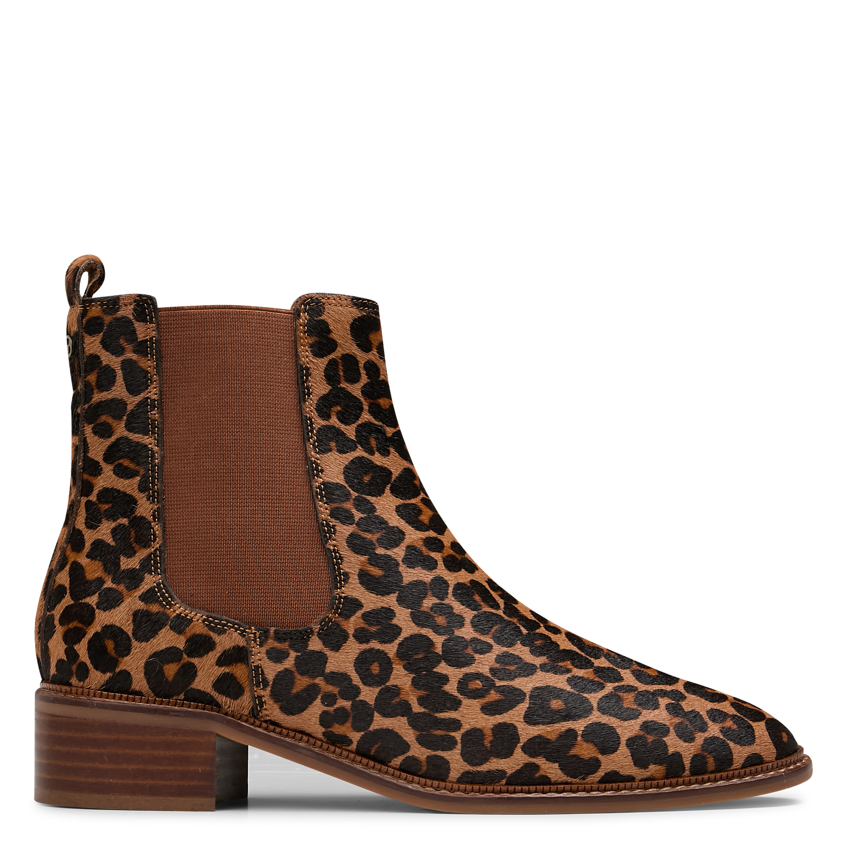 SELIANA - Bottines léopard en cuir | Multicolore