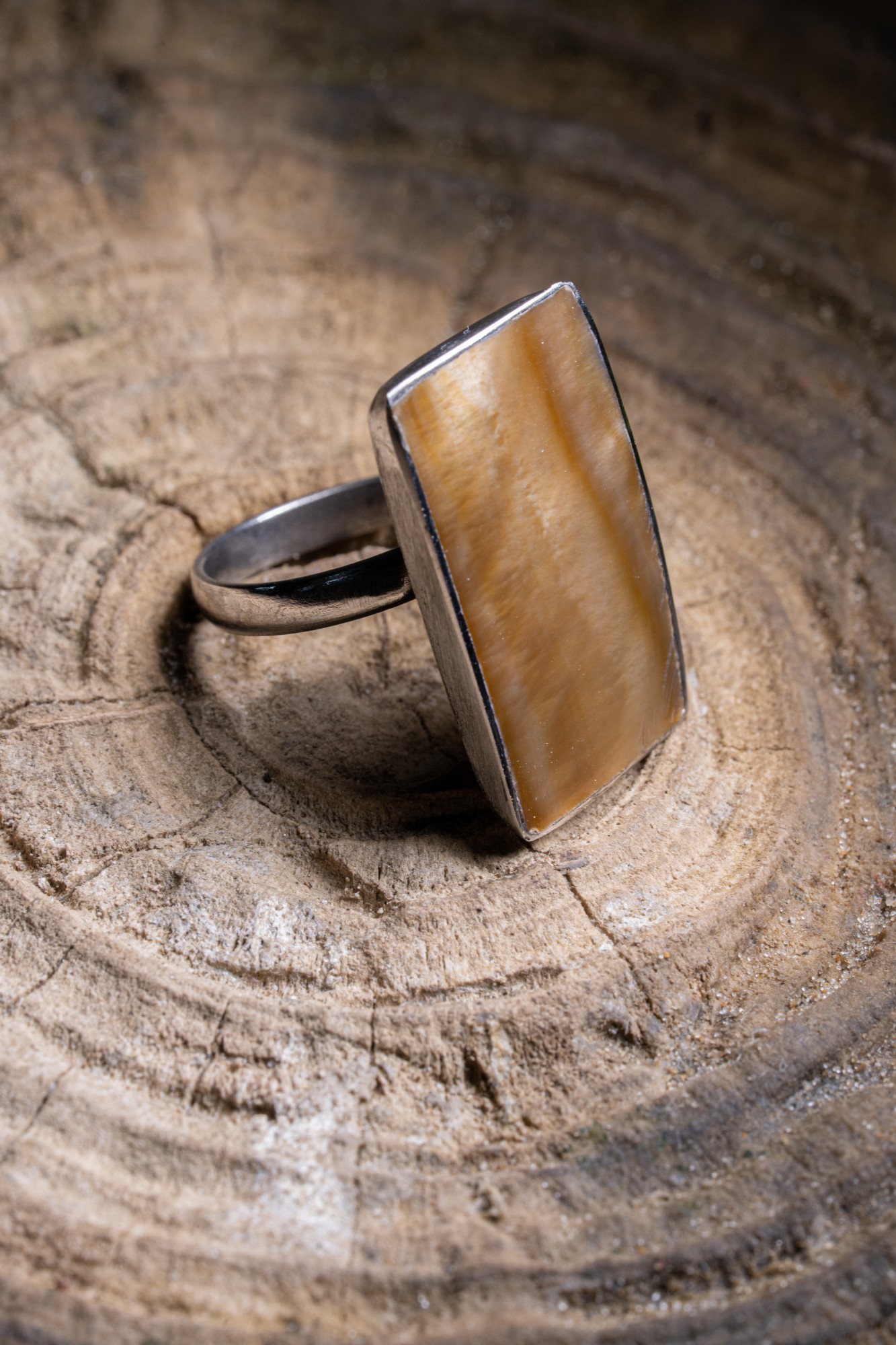 Runder Ring aus Edelstahl und Muschelharzen günstig bestellen