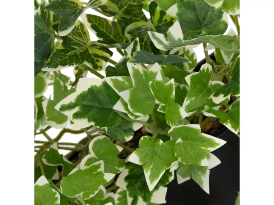 Plantes artificielles dans un support en métal Noir à suspendre H 35 cm