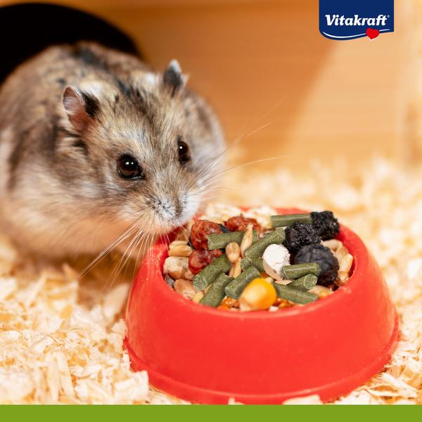Vitakraft® Ergänzungsfutter Vita Fit®