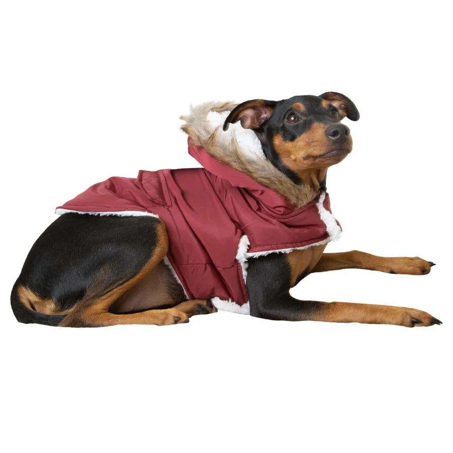 Casaco com capuz Outech cor bordô para cães