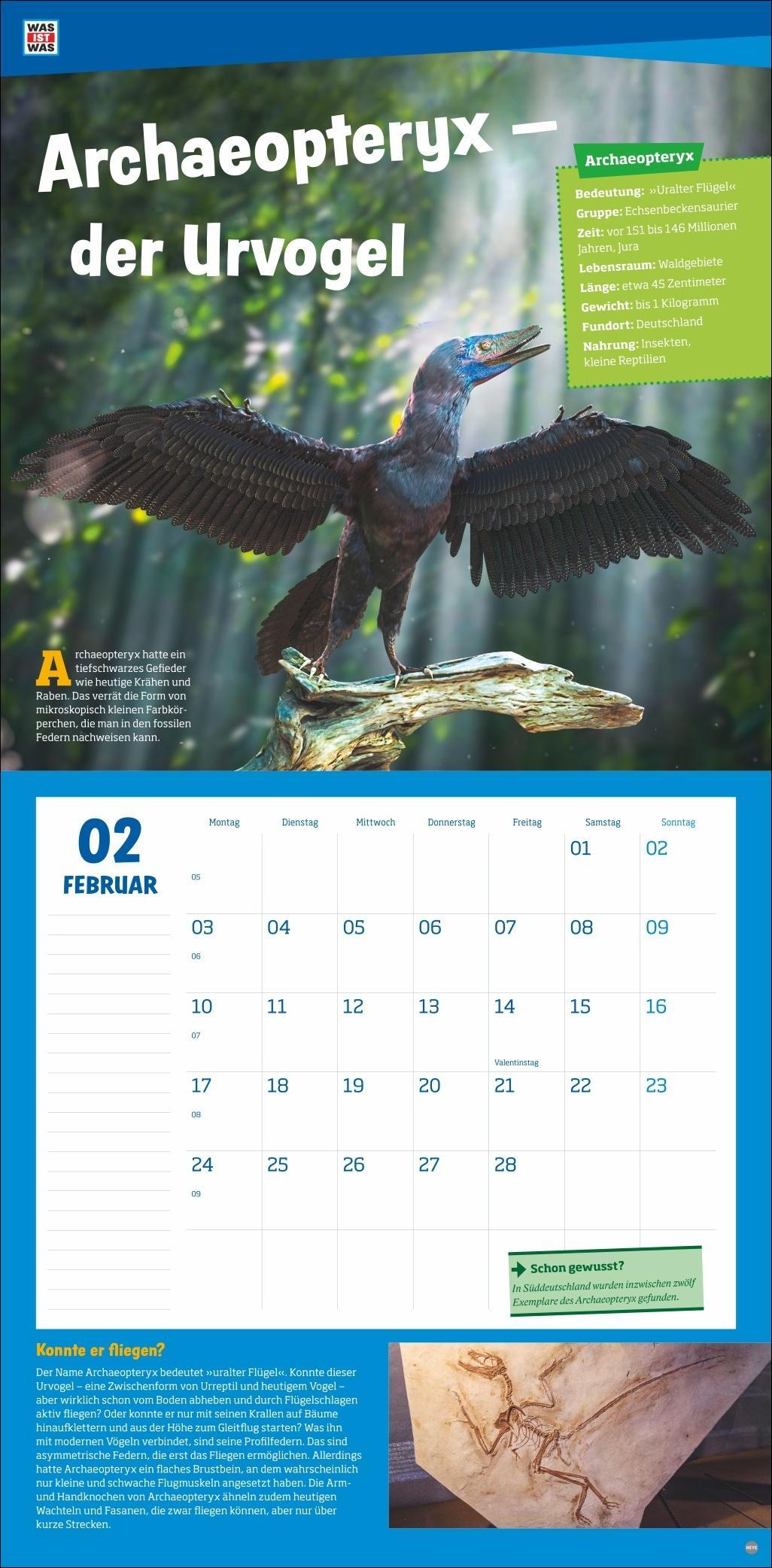 WAS IST WAS Dinosaurier Broschurkalender 2025