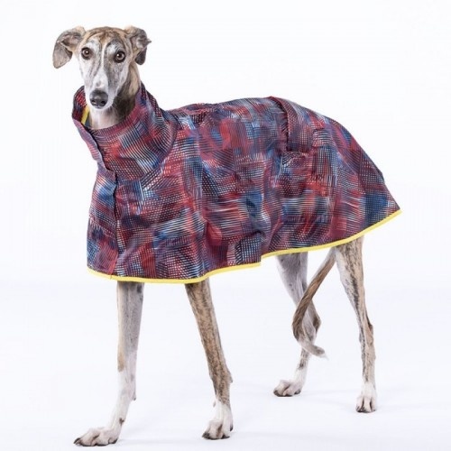 Capa de chuva Groc Groc Aldo para galgos