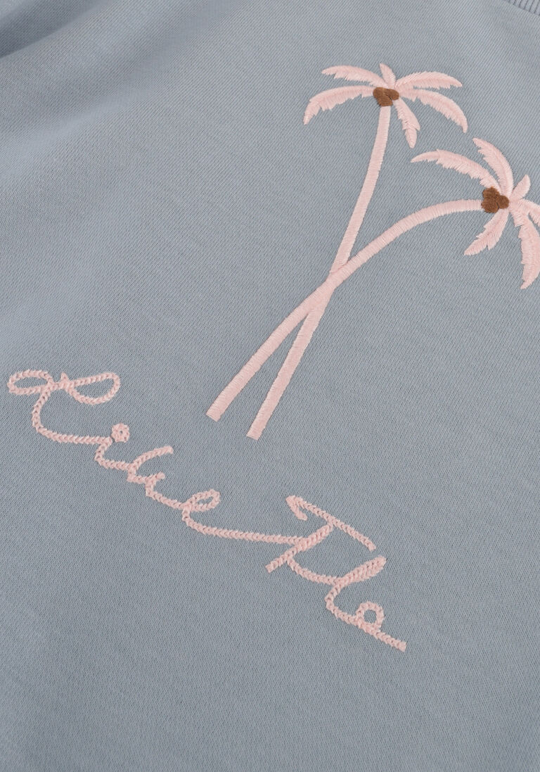 LIKE FLO lichtblauwe like flo t-shirt ss sweater crochet flower