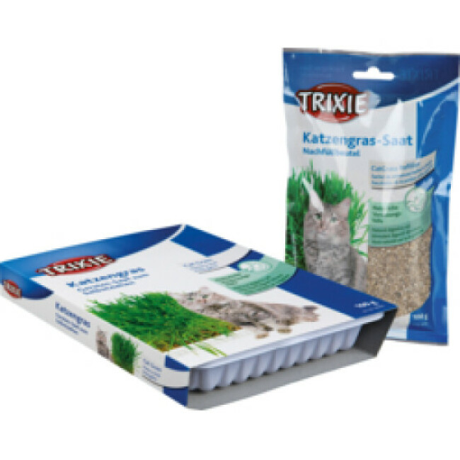 Sachet de semences d'herbe à chat Trixie