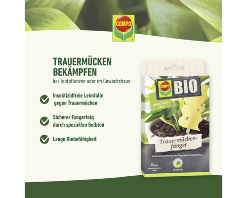Gele kleefvallen tegen plantenplagen COMPO BIO rouwvliegvallen 5 stuks insecticidevrij
