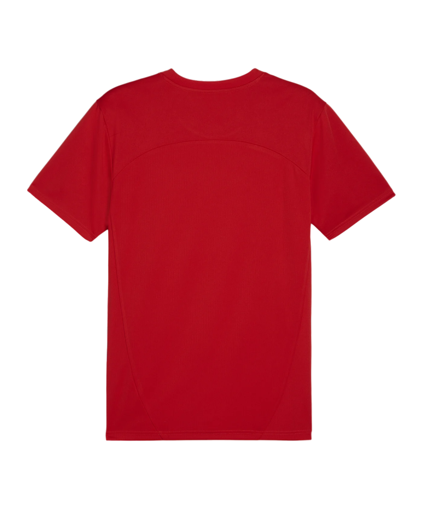 PUMA teamFINAL Trikot Rot F01
