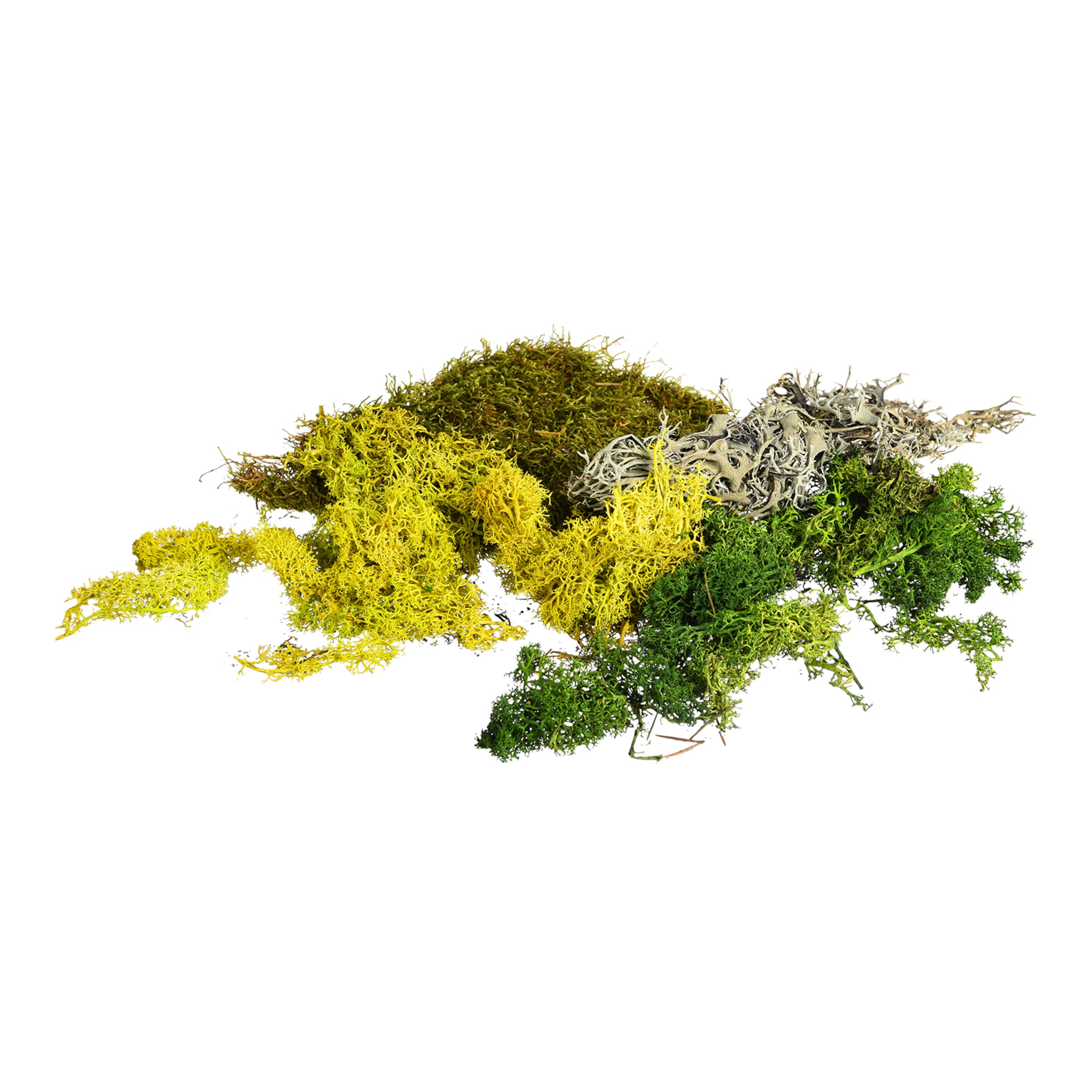 grün, 100 g