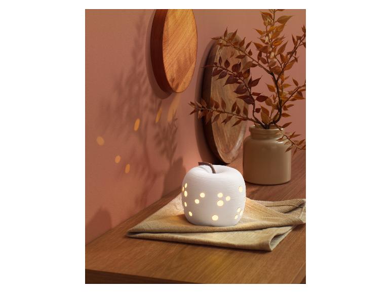 Herfst decoratie met LED