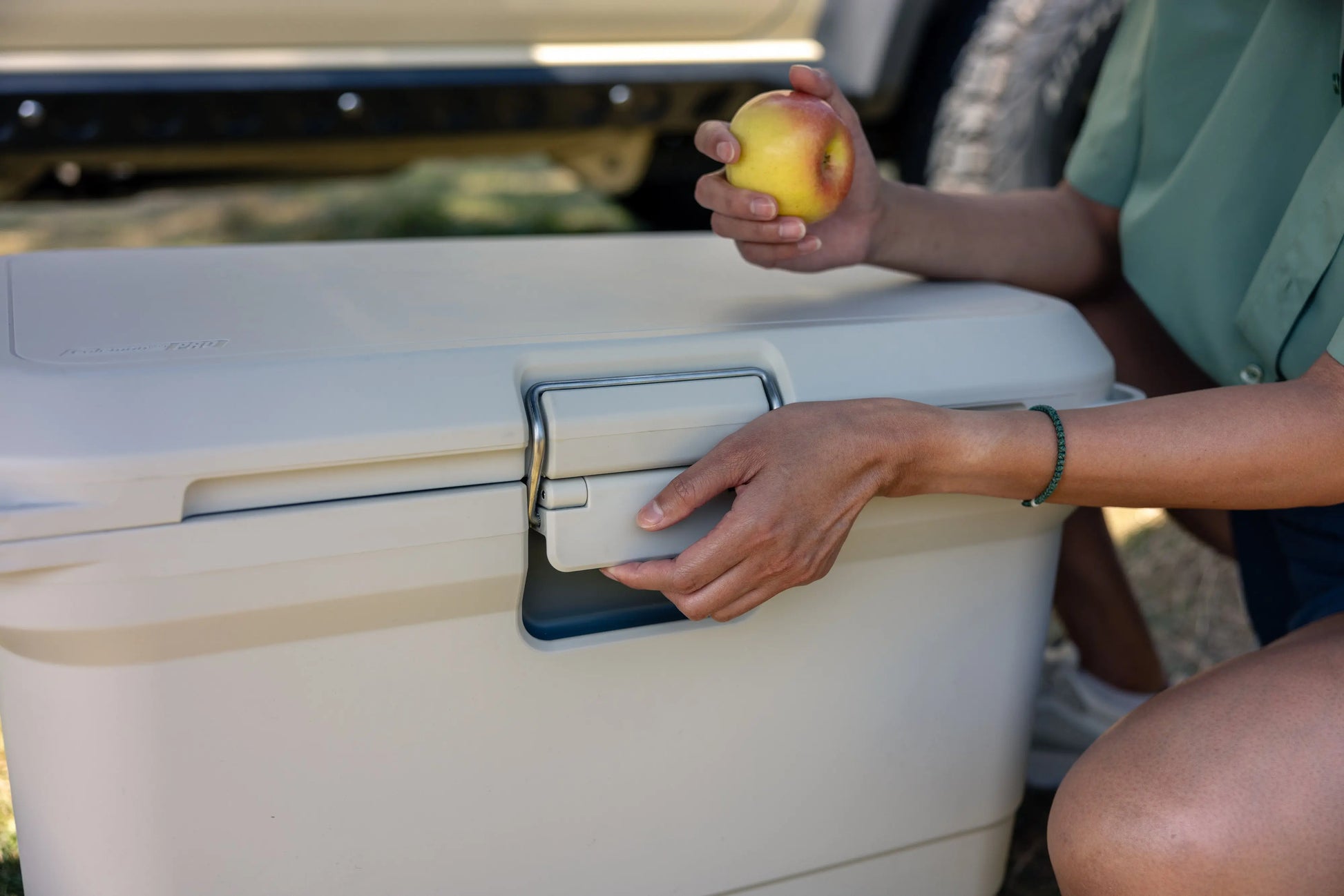 Coleman PRO 45QT Kühlbox