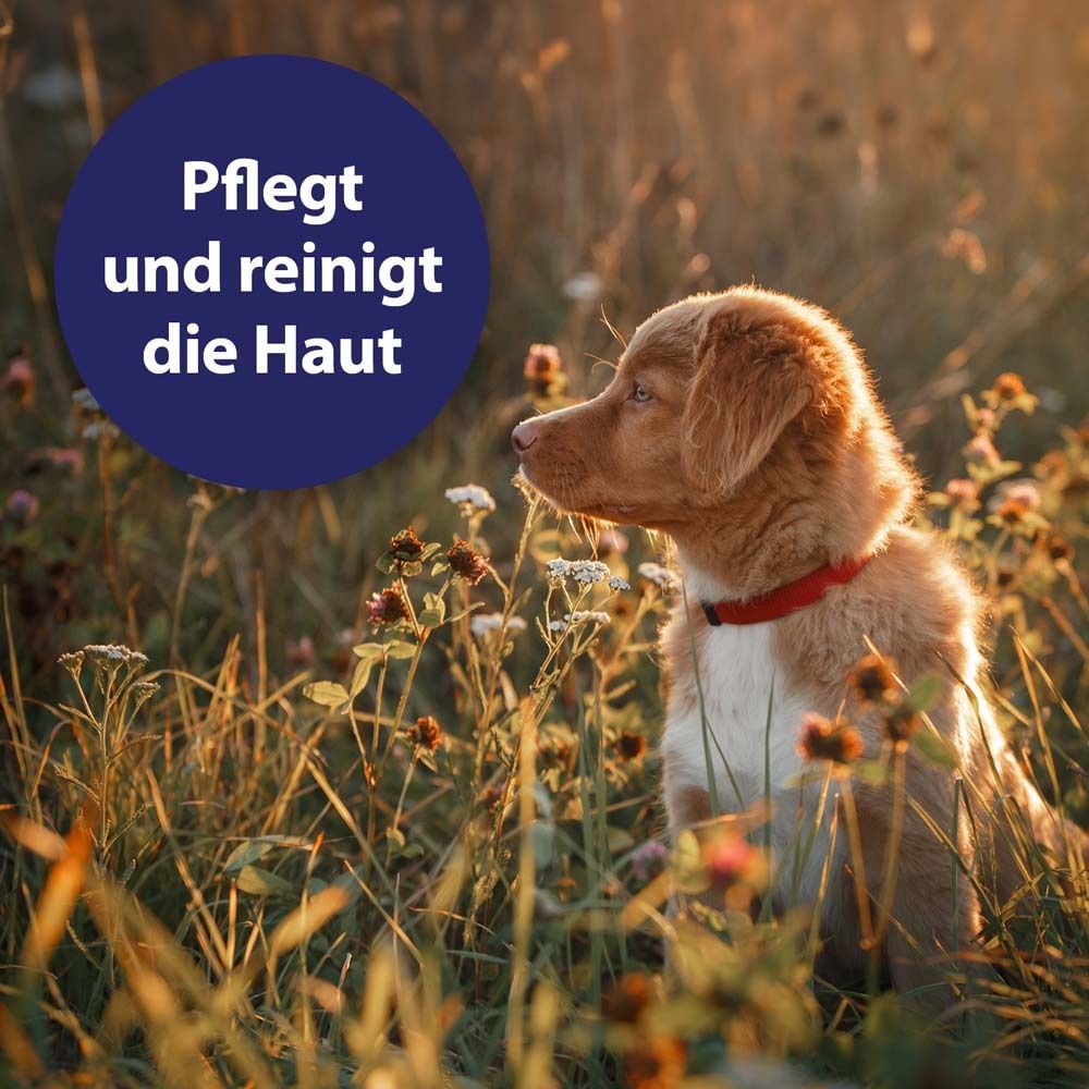 Canosept® Wundspray für Hunde 75 ml