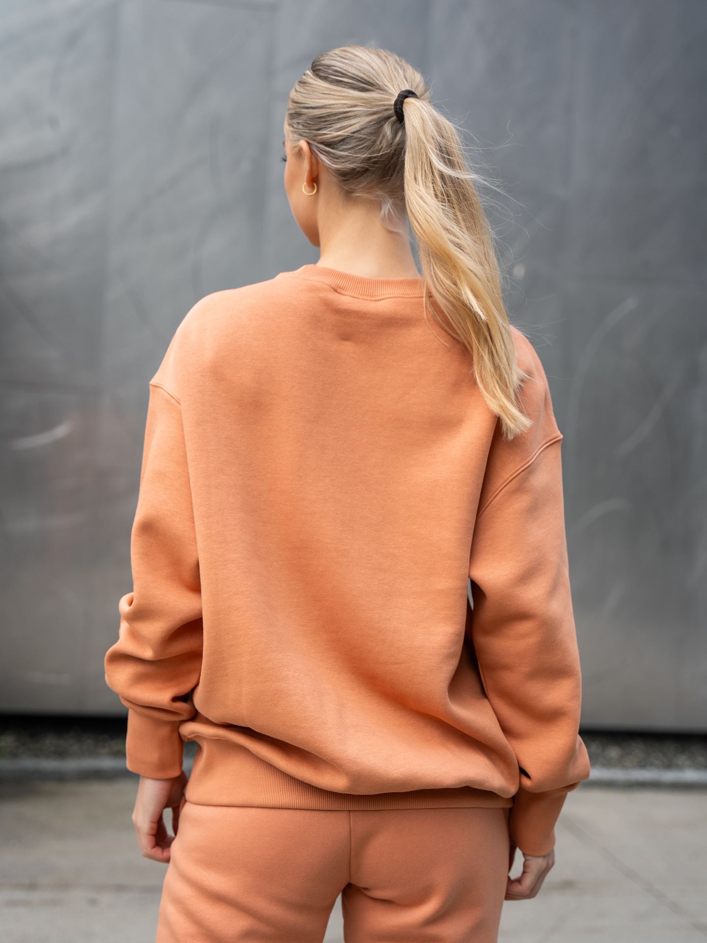 Phoenix Oversized Crew