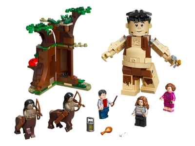 LEGO Het Verboden Bos: Omber's ontmoeting met Groemp (75967)