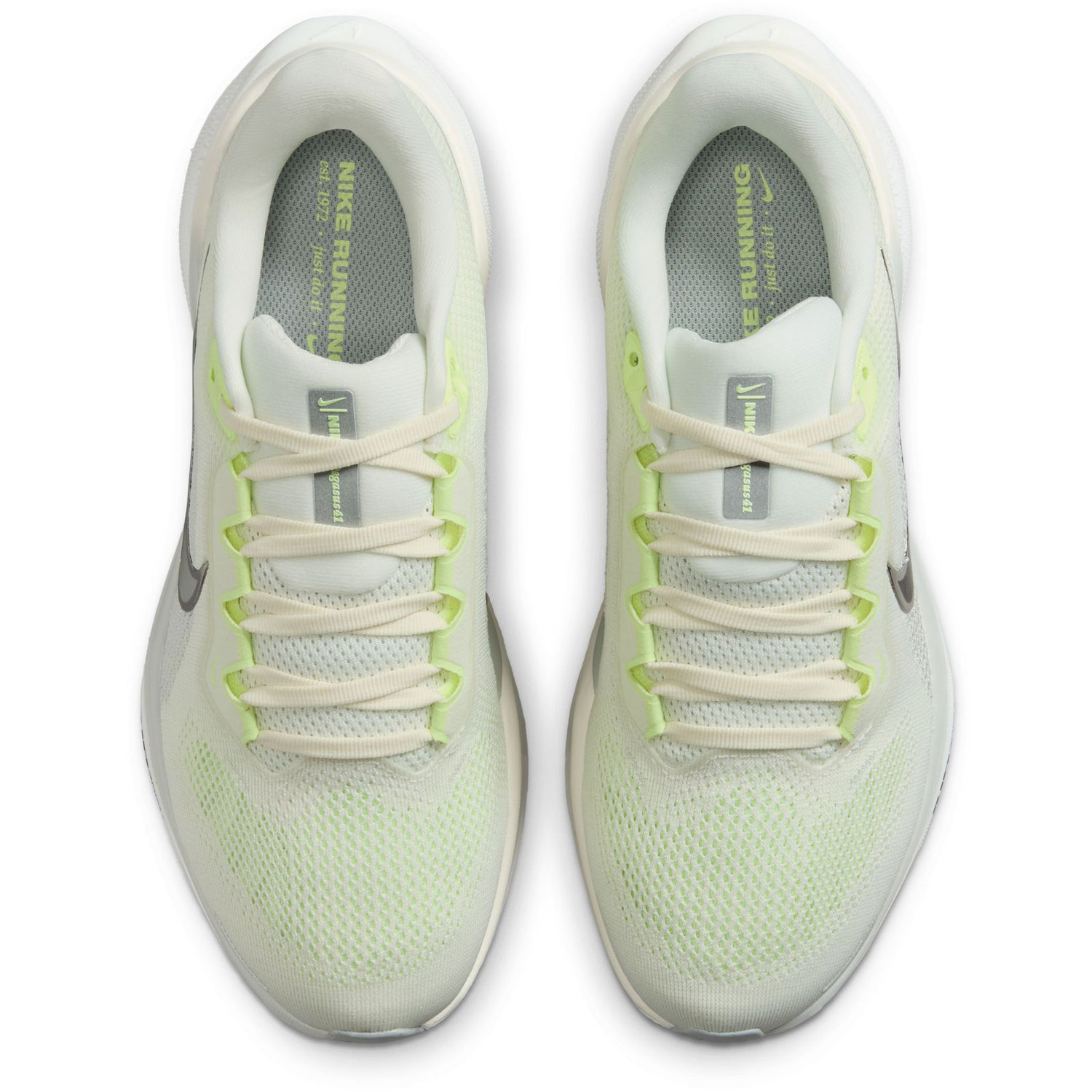 Nike Pegasus 41 Dames