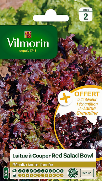 Graines de Laitue à couper Salad Bowl Rouge Vilmorin