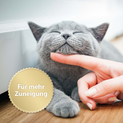 Felisept Home Comfort Nachfüllflakon 30 ml