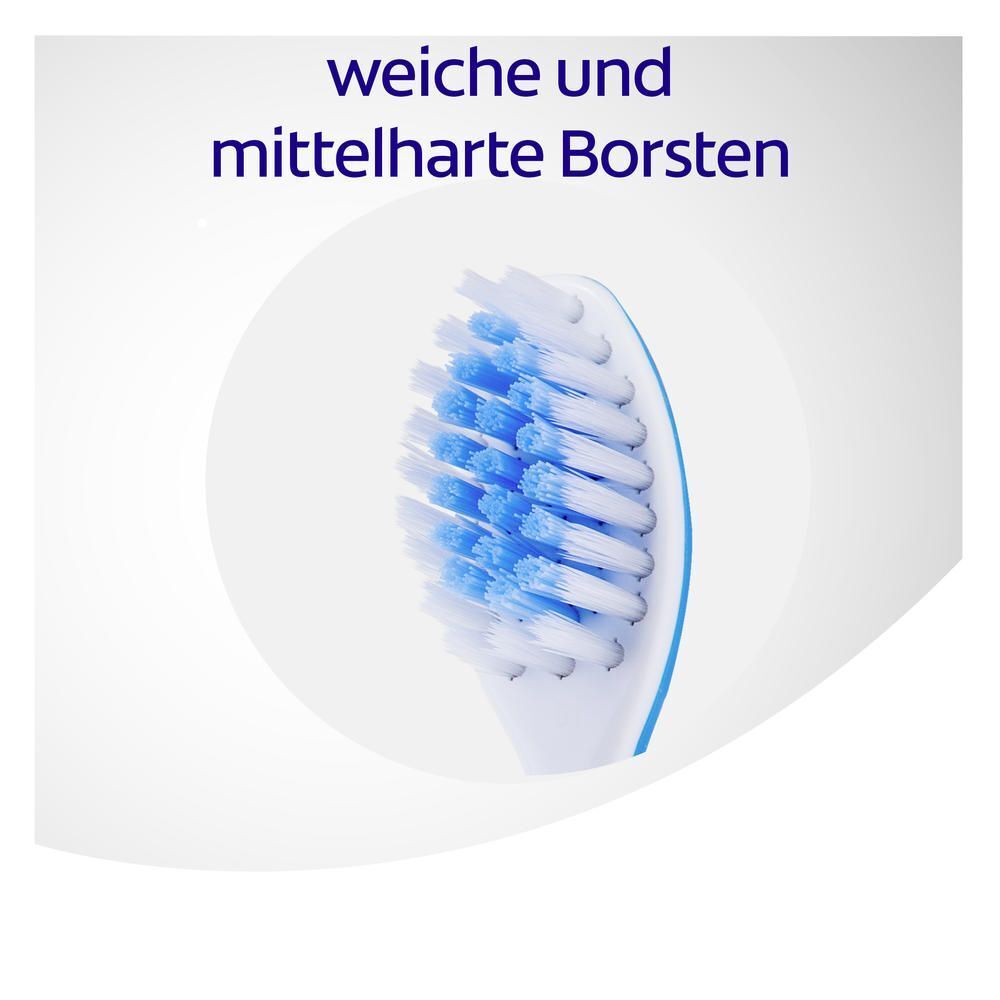 meridol Zahnfleischschutz  Zahnbürste mit mittelharten Borsten