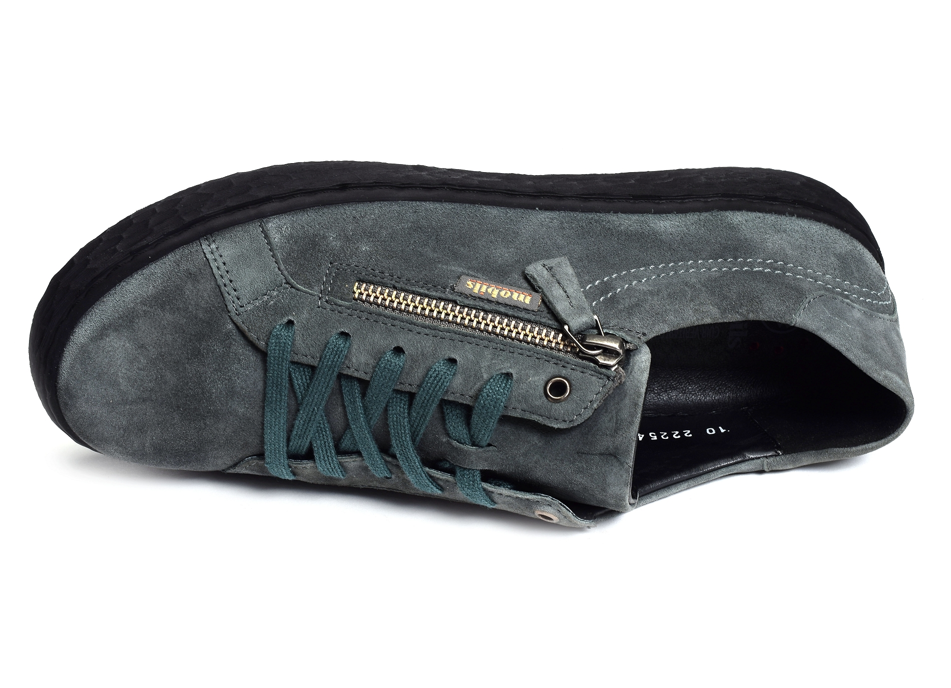 Laula gris bleu