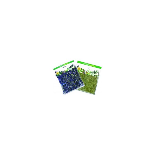 Ynsadiet Funcho Sementes 60 g