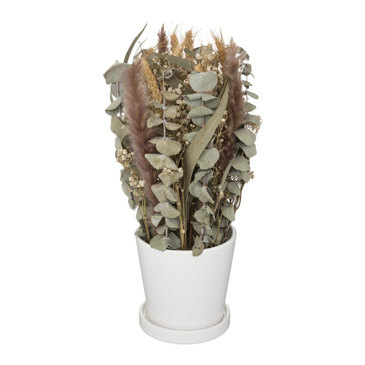COMPOSITION FLEURS SECHEES POT CERAMIQUE