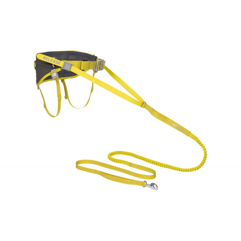 Omnijore Joring System - Ceinture canicross