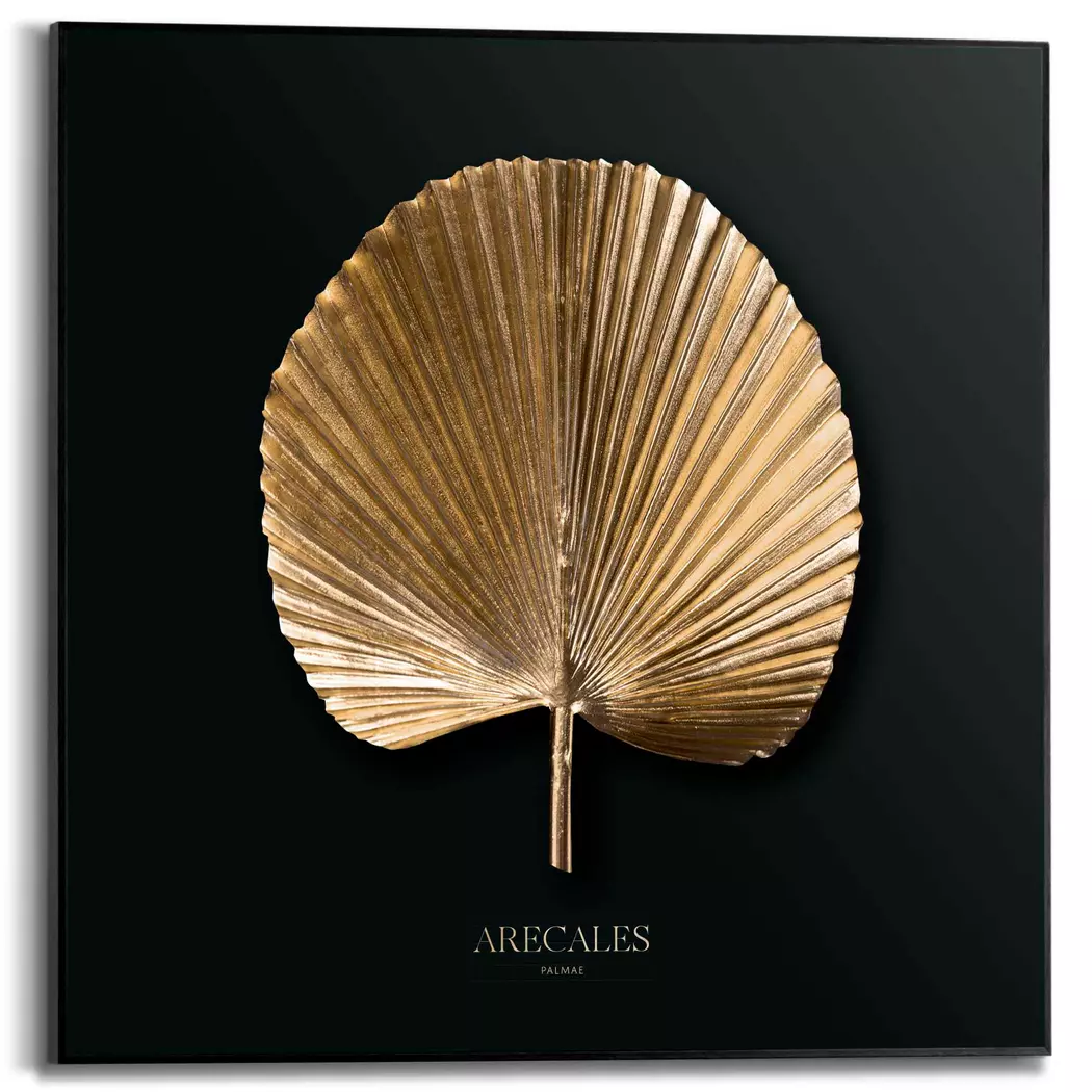 Wandbild 50 x 50 cm Areca Gold