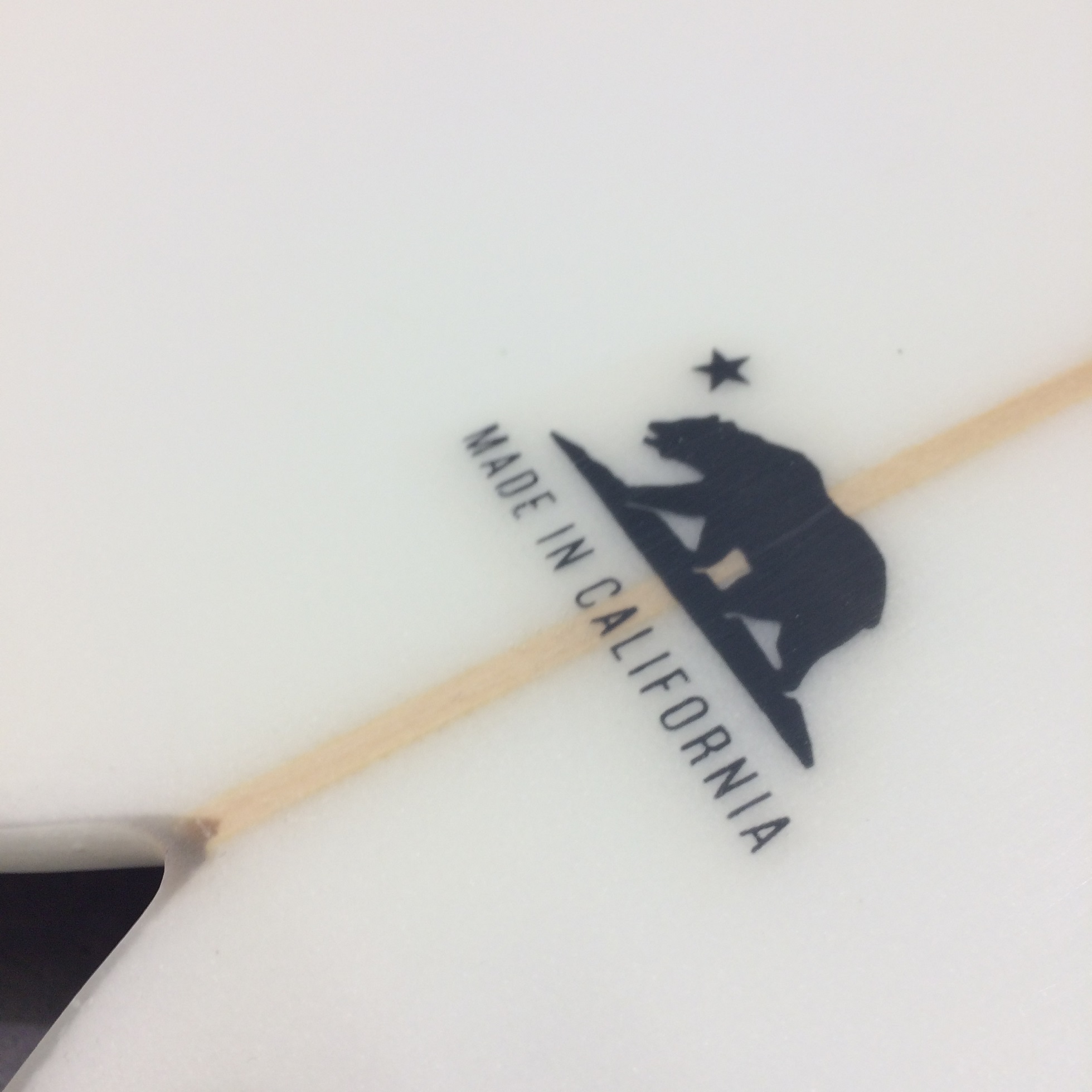 Matt Calvani Retro Fish - 6'0 x 21