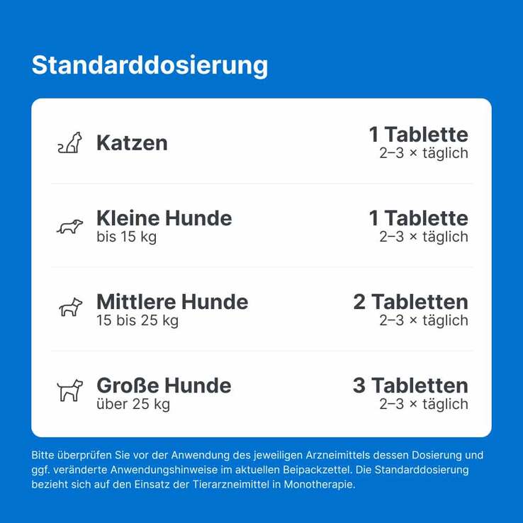Traumeel LT ad us.vet.Tabletten, 100 St