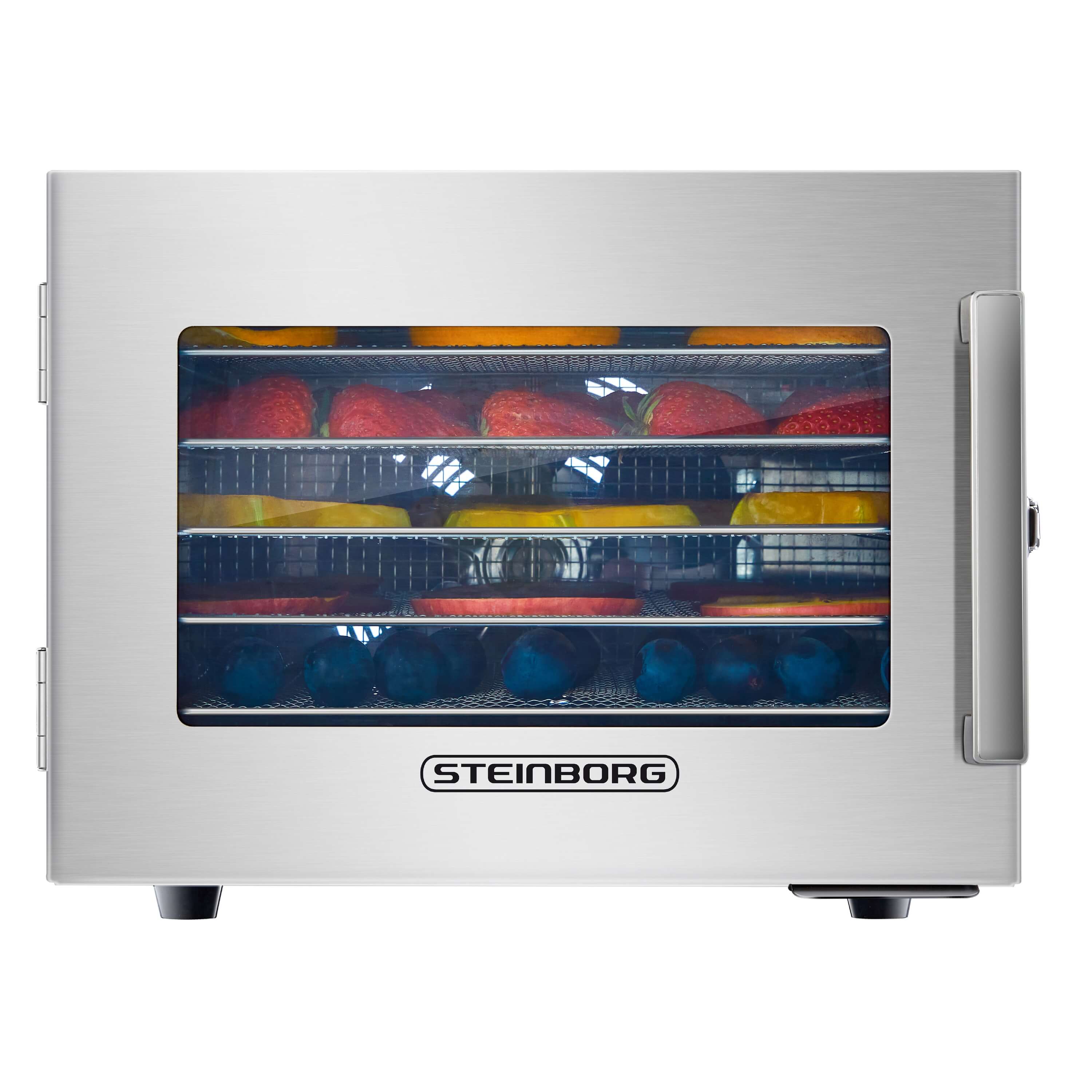 Steinborg Dörrautomat Edelstahl 6 Etagen 24h Timer 400W