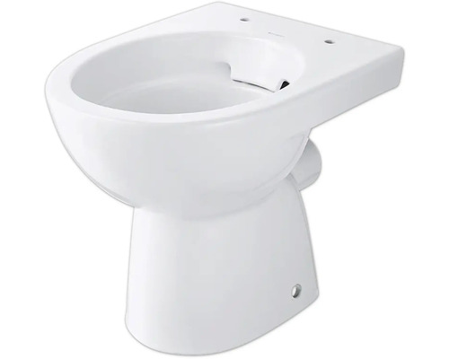 GEBERIT Renova staande toiletset, randloos, glanzend wit met toiletzitting 500.480.01.2