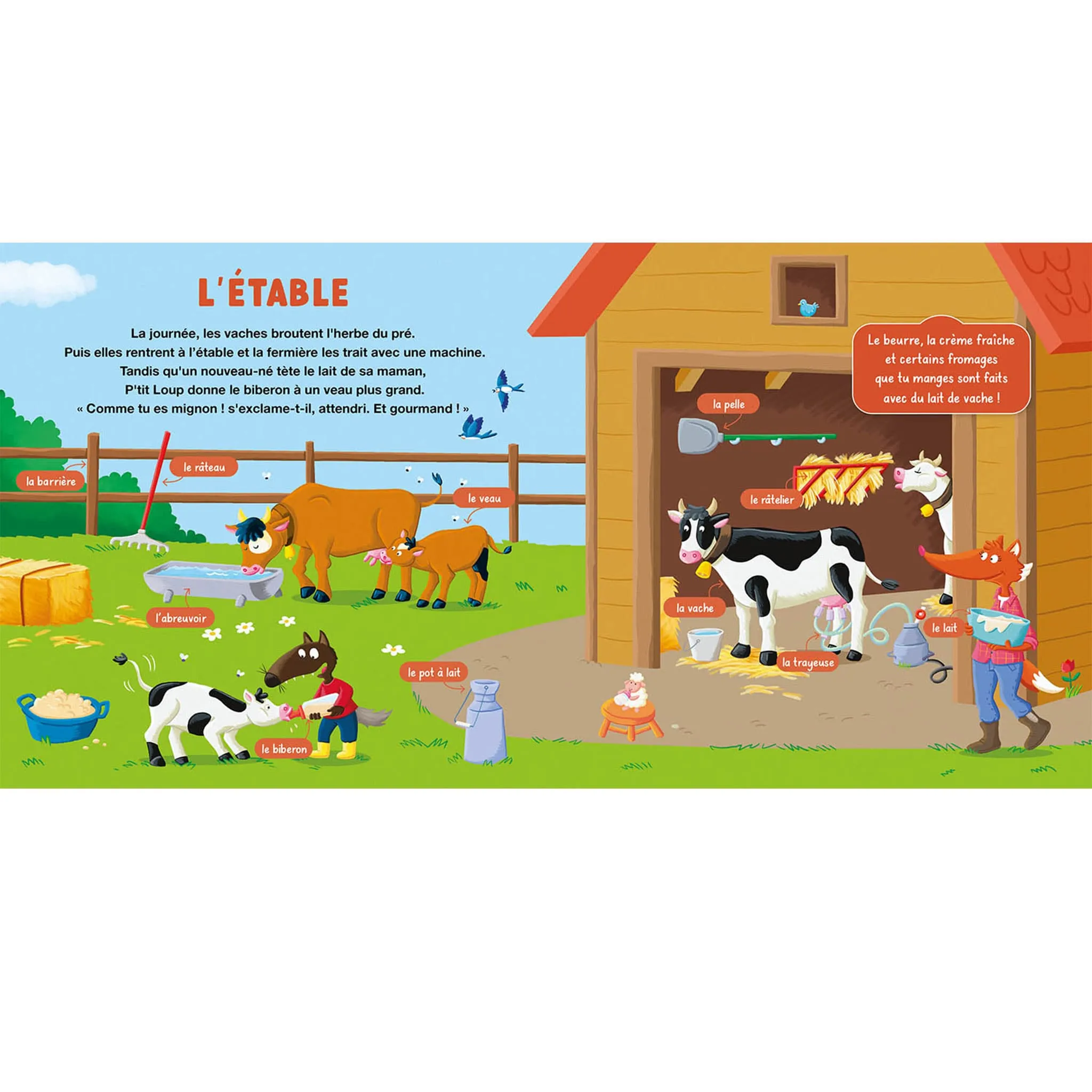 Auzou Mon Doc P'Tit Loup - La Ferme