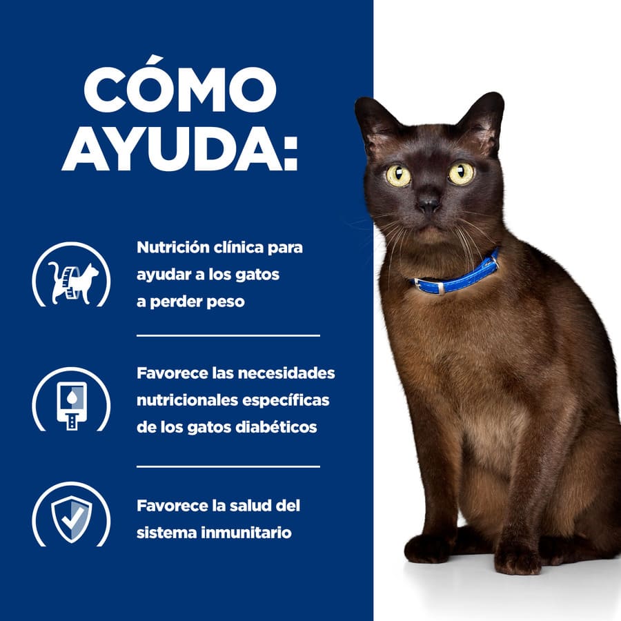 Ração Hill's Prescription Diet Diabetes Care com sabor de frango para gatos