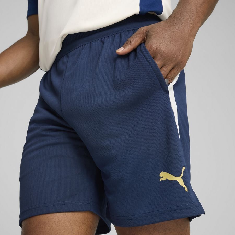 Puma Portugal Trainingsshorts