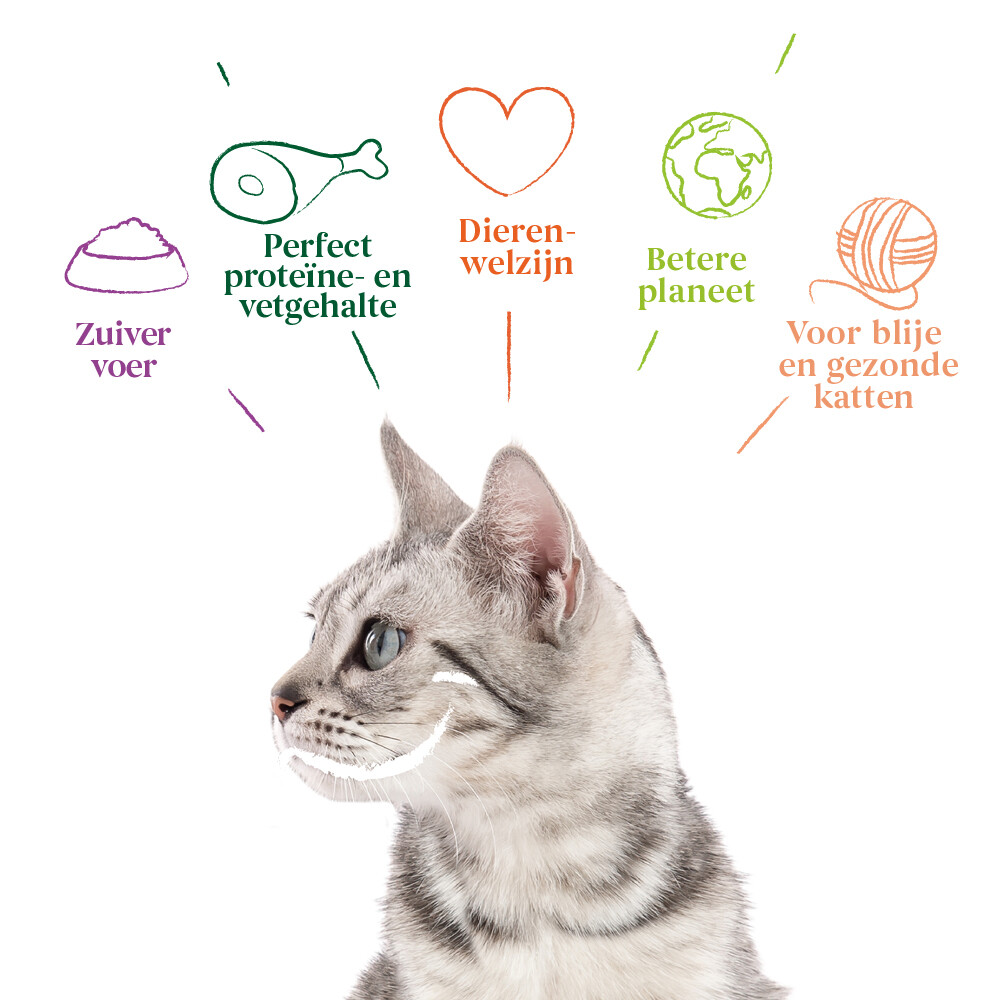12x Yarrah Bio Kattenvoer Chunks Kip & Rund405 gr