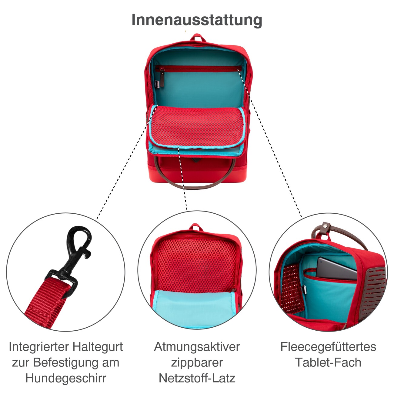 Kurgo Hunderucksack Nomad