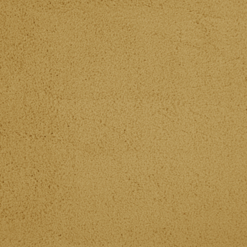 Vloerkleed Soho Goudgeel 160x240 cm