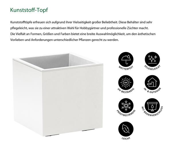 Dehner Kunststoff-Topf Kebe, quadratisch, ca.