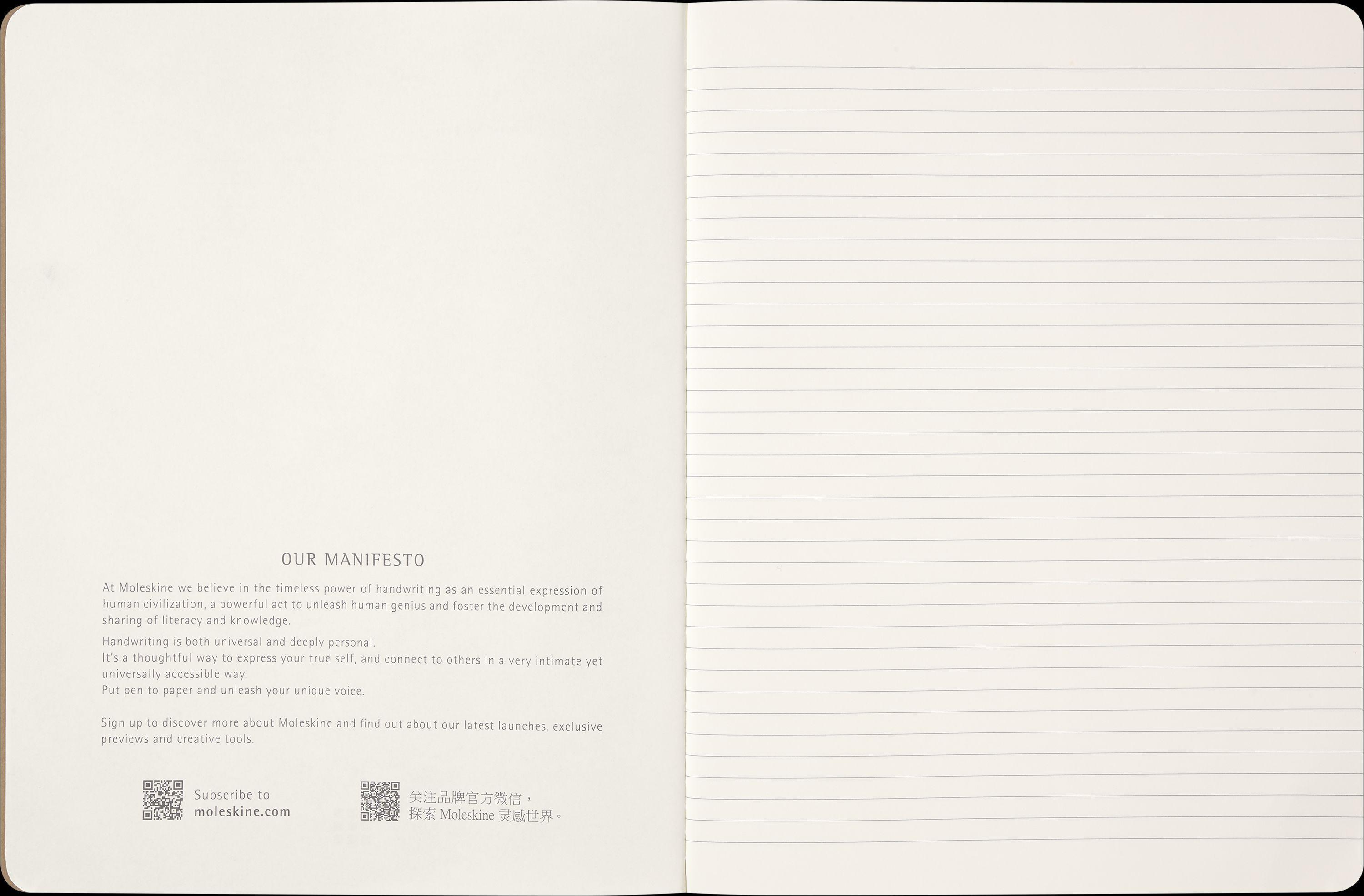Moleskine Harry Potter Wingdarium Cahier, XL
